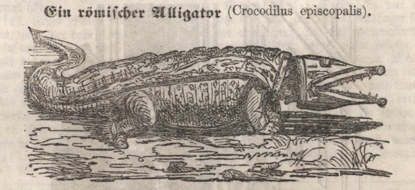 Ve svém satirickém plátku se Vojta Náprstek pěkně opřel do církevních autorit – biskupovi přiřkl podobu krokodýla, jezuitu zpodobnil jako „divokou ovci“. Neváhal však nasadit „psí hlavu“ ani členům soudobé obce politické (Milwaukie Flugblätter, 1852-54)